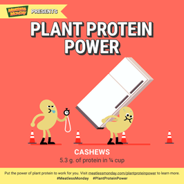 Meatless Monday Plant Protein Power – Cashews animated GIF