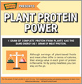 Meatless Monday Plant Protein Power – social media – plant protein vs. meat
